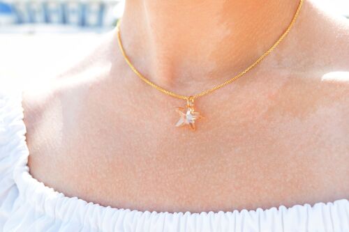Golden starfish