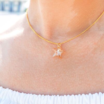 golden starfish
