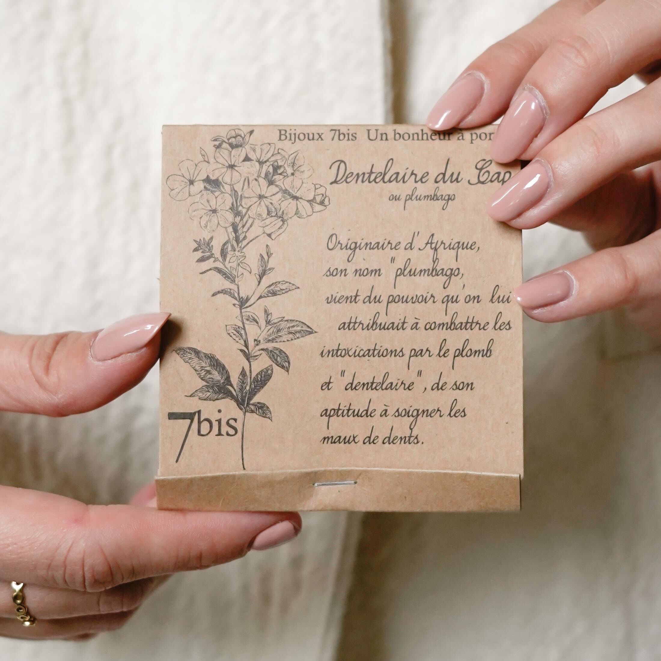 Bracciale a catena in acciaio cotone verde Infusion dentilaire du cap