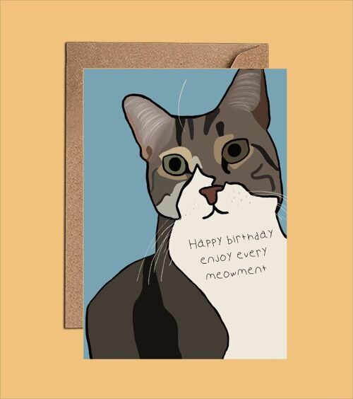 Tabby Cat Birthday Card - Happy birthday - Enjoy  WAC24101