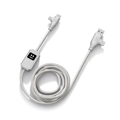 🔌 ALLURE - 100W Fast Charging Cable - Silver 🔌