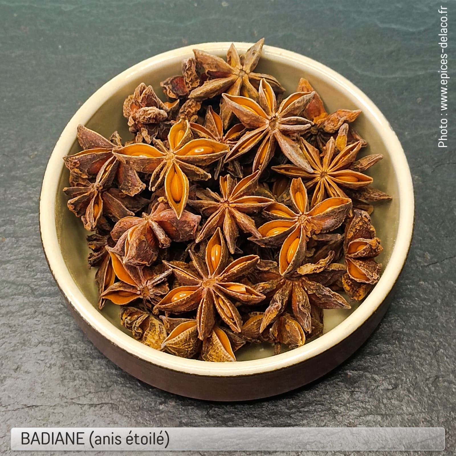 Anice stellato (BADIANE) - condimento, erba, spezia e aroma