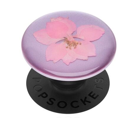 🌼 Pressed Flower Delphinium Pink 🌼