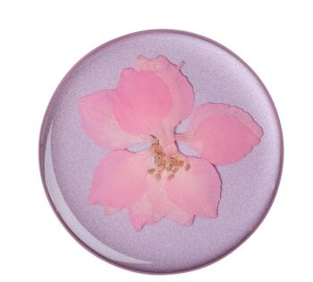 🌼 Pressed Flower Delphinium Pink 🌼 2