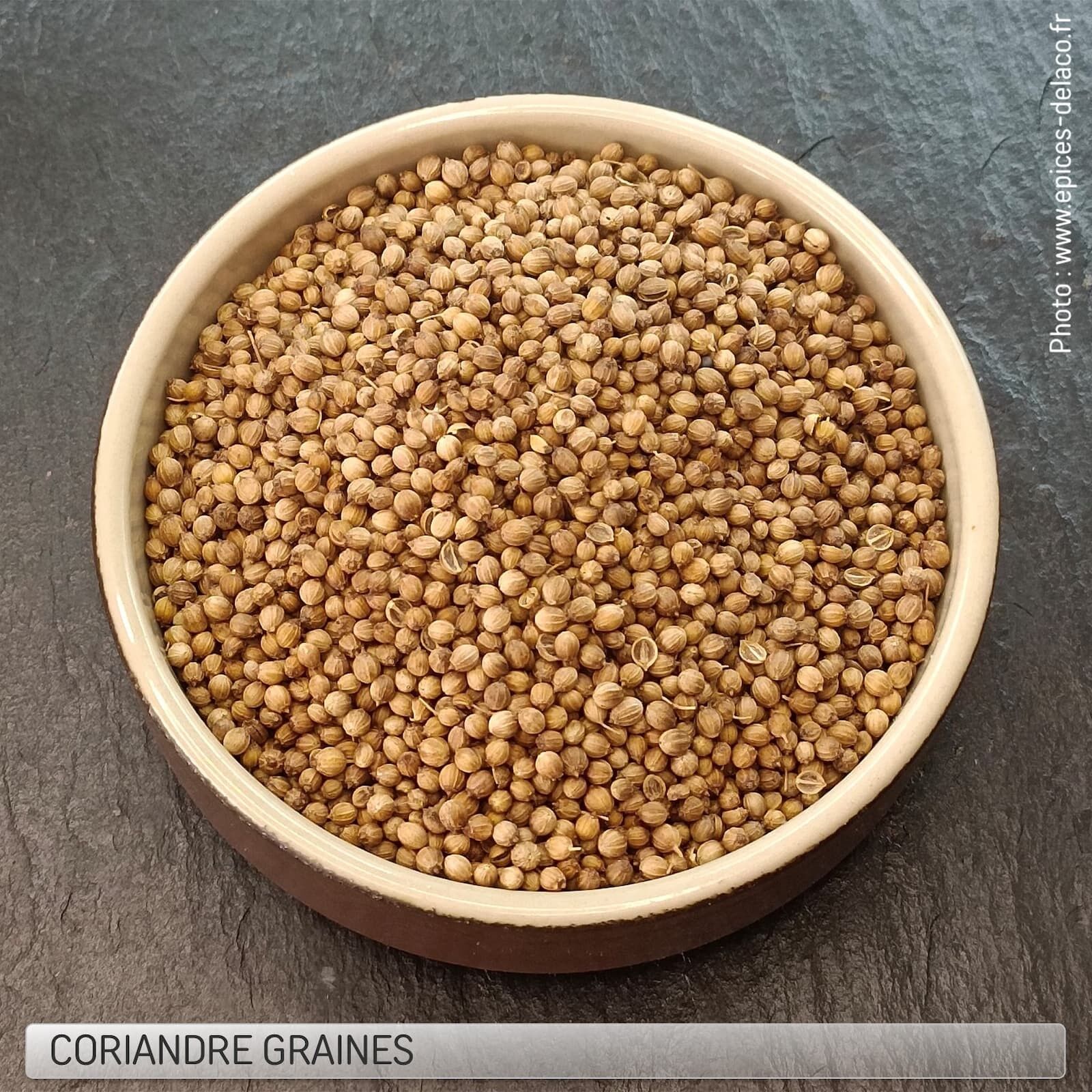 SEMILLA DE CILANTRO - condimento, hierba, especia y aromatizante