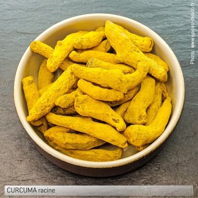 Radice di CURCUMA - eco