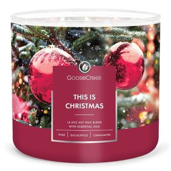 Voici la bougie de Noël Goose Creek Candle® 411 grammes 1