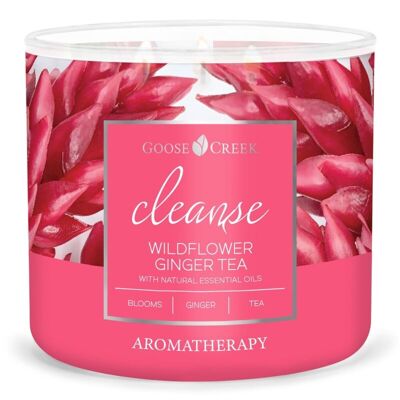 Wildblumen-Ingwer-Tee Goose Creek Candle® Aromatherapie 411 Gramm