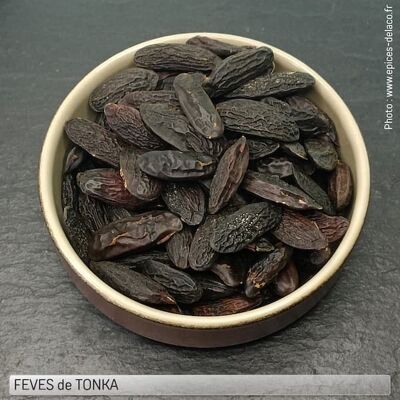 TONKA BEAN - eco