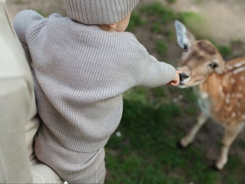 Pullover "Paul" in camel melange