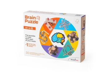 Brain Puzzle Set of 6 2