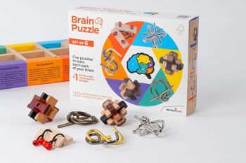 Brain Puzzle Set of 6 3