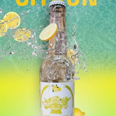 BIO-LIMONADE 33CL