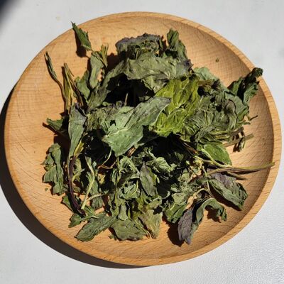 Peppermint Tea (500 teabags)