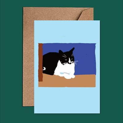 Cat birthday card - Have a purr-fect birthday - WAC22105