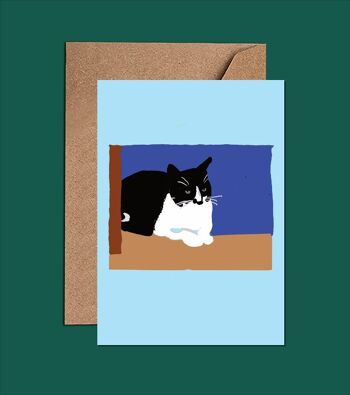 Carte d'anniversaire chat - Passez un anniversaire parfait - WAC22105