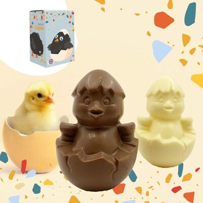 Chocodic - Calimero in milk or white chocolate - Easter chocolate