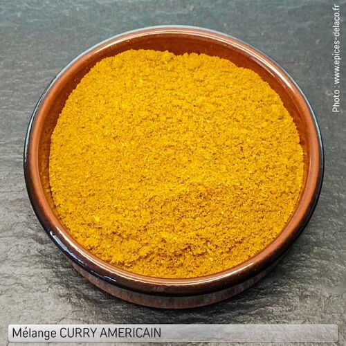 Mélange CURRY AMERICAIN  -