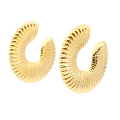 Steel convex shell hoop earrings