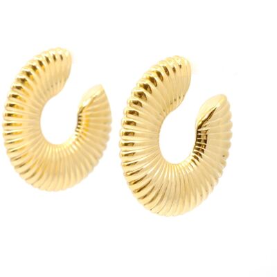 Steel convex shell hoop earrings