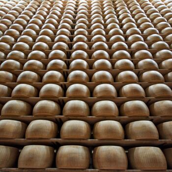 PARMIGIANO REGGIANO DOP HALAL forme 12 MOIS 4