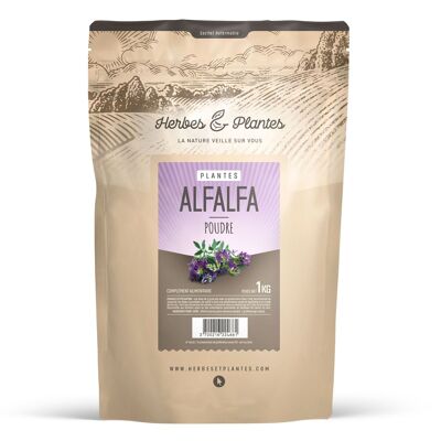 Alfalfa - Powder - 1 kg