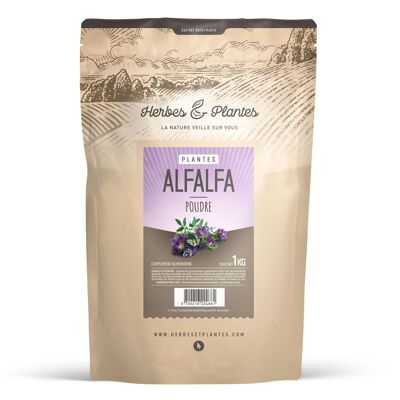 Erba medica - Polvere - 1 kg