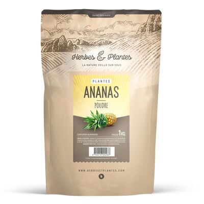 Ananas - Poudre - 1 kg