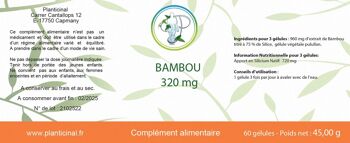 BAMBOU 75% DE SILICE 2