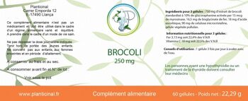 BROCOLI 2