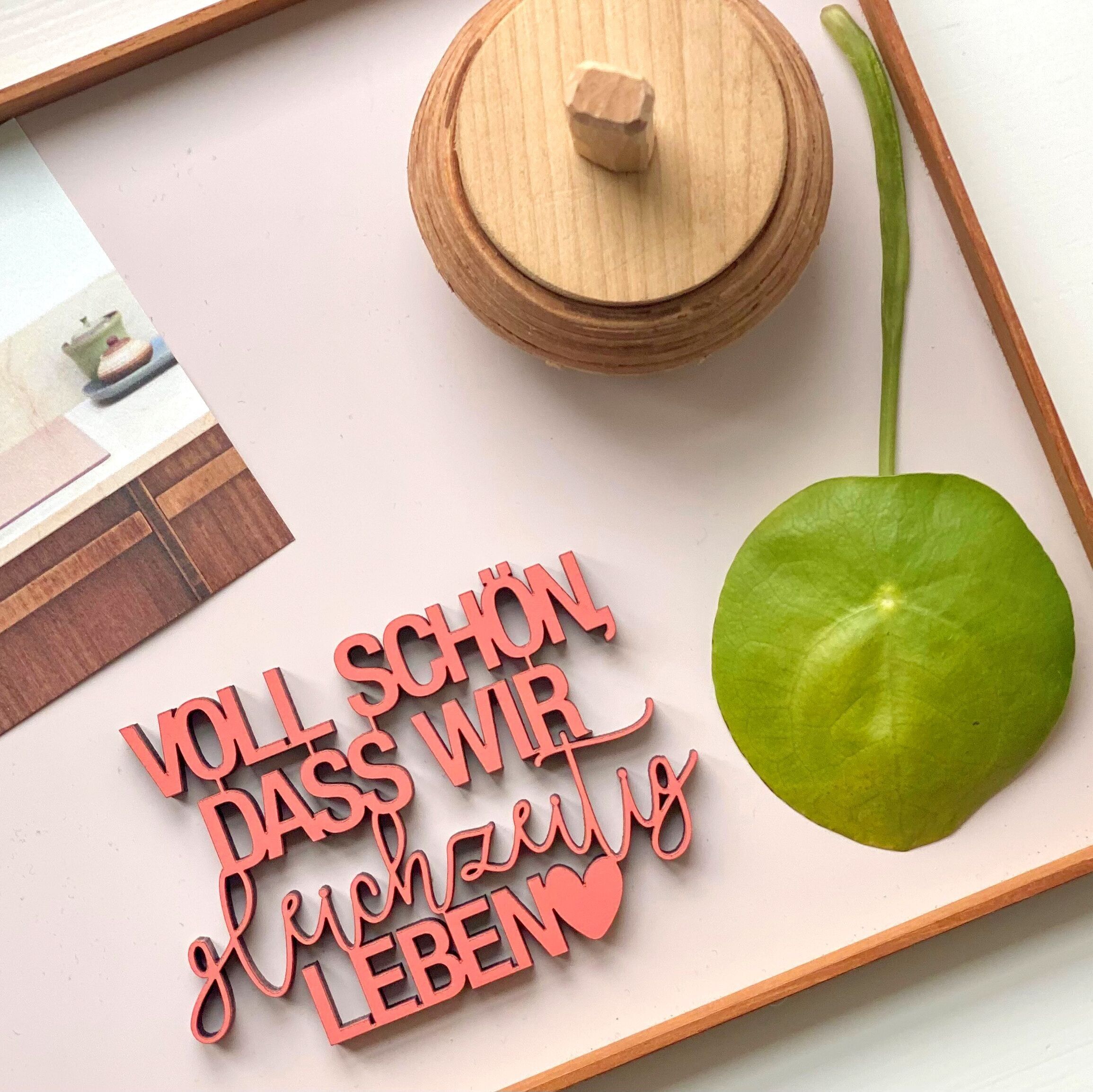 Voll schön, dass wir gleichzeitig leben - Gr. S