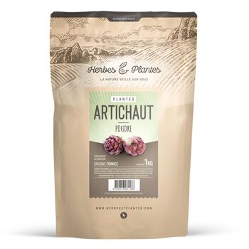 Artichaut - Poudre - 1 kg