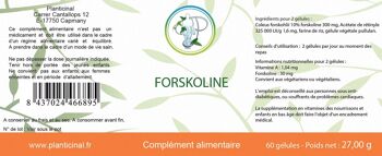 FORSKOLINE COLEUS 2