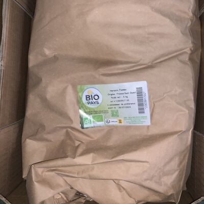 Organic Flambo Dry Bean - 5kg bulk bag