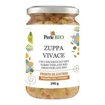 Soupe Vivace Bio prête à déguster !   290g. [UE uniquement] 1