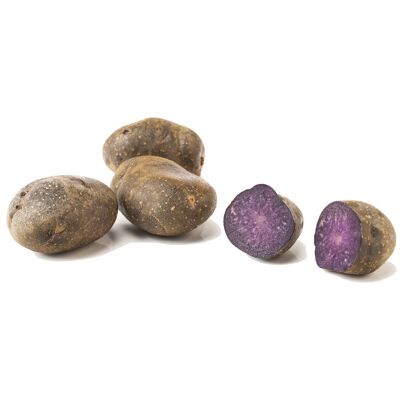 Pommes de terre violettes Double Delight [UE uniquement]