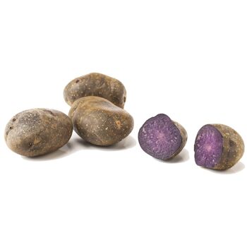Pommes de terre violettes Double Delight [UE uniquement] 1