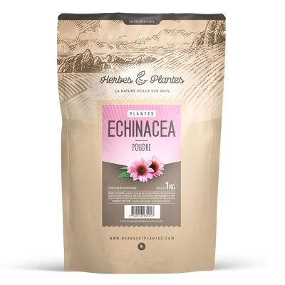 Equinácea - Polvo - 1 kg