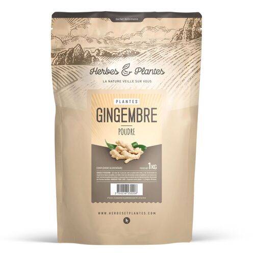 Gingembre - Poudre - 1 kg