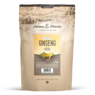 Ginseng - Polvo - 1 kg