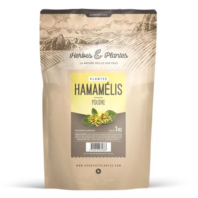 Hamamelis - Pulver - 1 kg