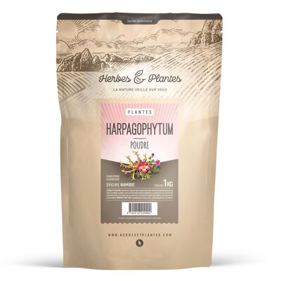 Harpagophytum - Polvo - 1 kg