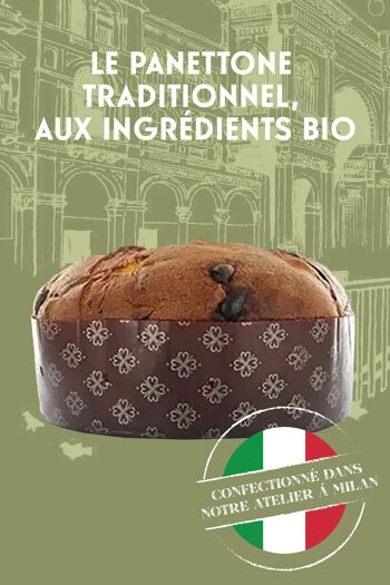 Panettone Bio 750g 4