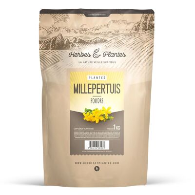 Millepertuis - Poudre - 1 kg