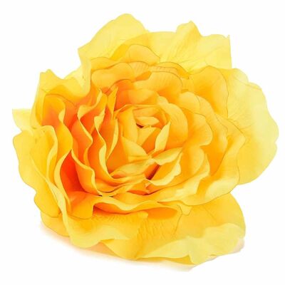 Giant yellow window rose with rear hook