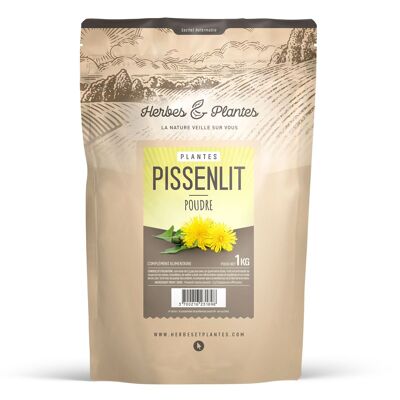 Pissenlit - Poudre - 1 kg