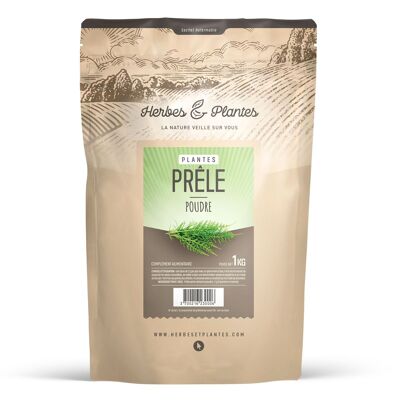 Prêle - Poudre - 1 kg