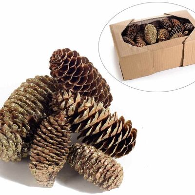 Natural decorative pine cones with glitter in display box of 50 pcs