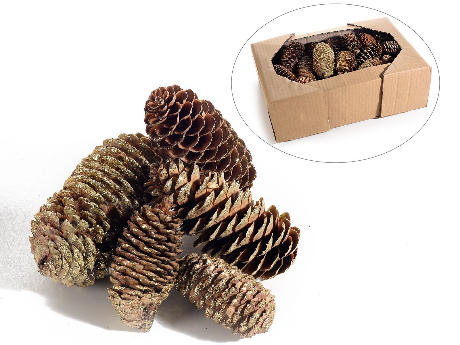 Pigne decorative naturali con glitter in scatola espositore da 50 pz