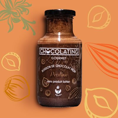 Chocolating Gourmet - 270g bottle - Praline